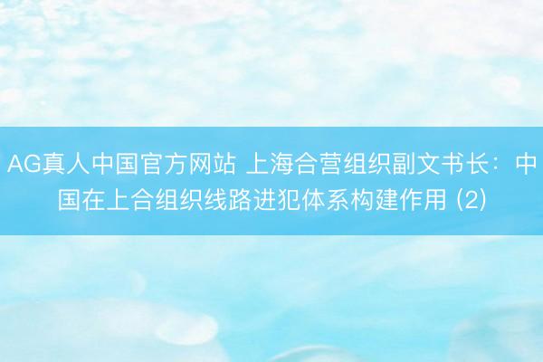 AG真人中国官方网站 上海合营组织副文书长：中国在上合组织线路进犯体系构建作用 (2)