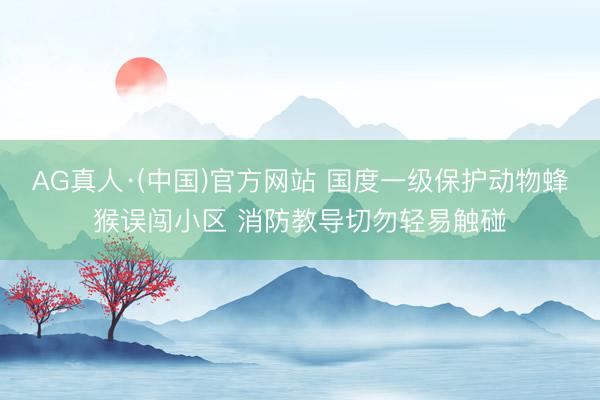 AG真人·(中国)官方网站 国度一级保护动物蜂猴误闯小区 消防教导切勿轻易触碰