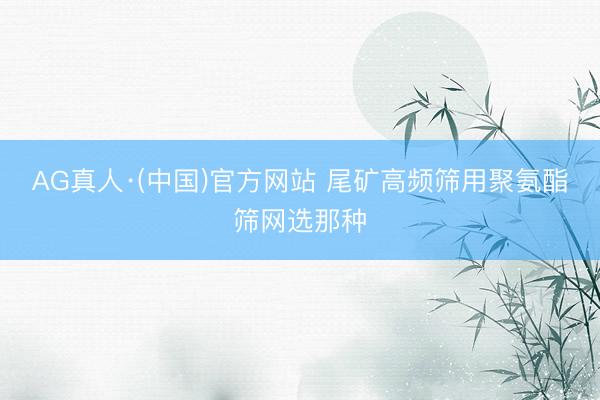 AG真人·(中国)官方网站 尾矿高频筛用聚氨酯筛网选那种