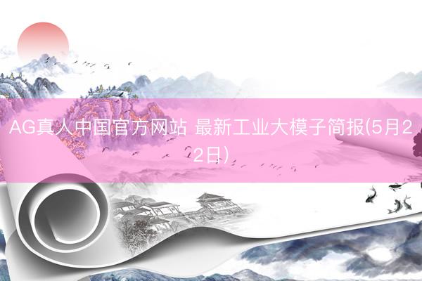 AG真人中国官方网站 最新工业大模子简报(5月22日)