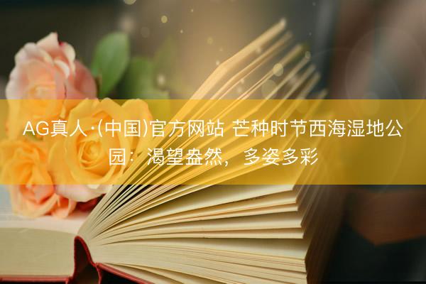 AG真人·(中国)官方网站 芒种时节西海湿地公园：渴望盎然，<a href=
