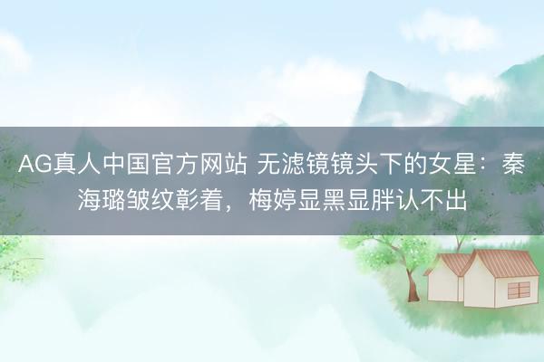 AG真人中国官方网站 无滤镜镜头下的女星：秦海璐皱纹彰着，梅婷显黑显胖认不出