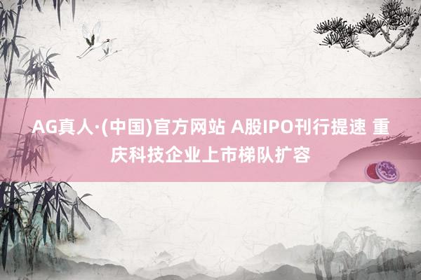 AG真人·(中国)官方网站 A股IPO刊行提速 重庆科技企业上市梯队扩容